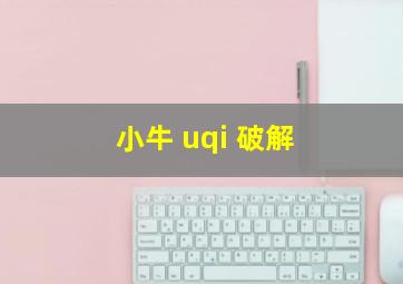 小牛 uqi 破解